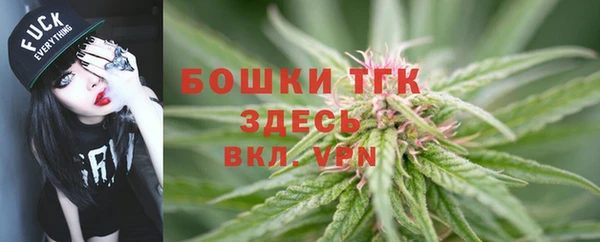 ГАЛЛЮЦИНОГЕННЫЕ ГРИБЫ Бронницы