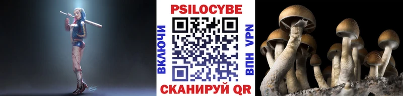 Псилоцибиновые грибы прущие грибы  площадка формула  Высоковск 